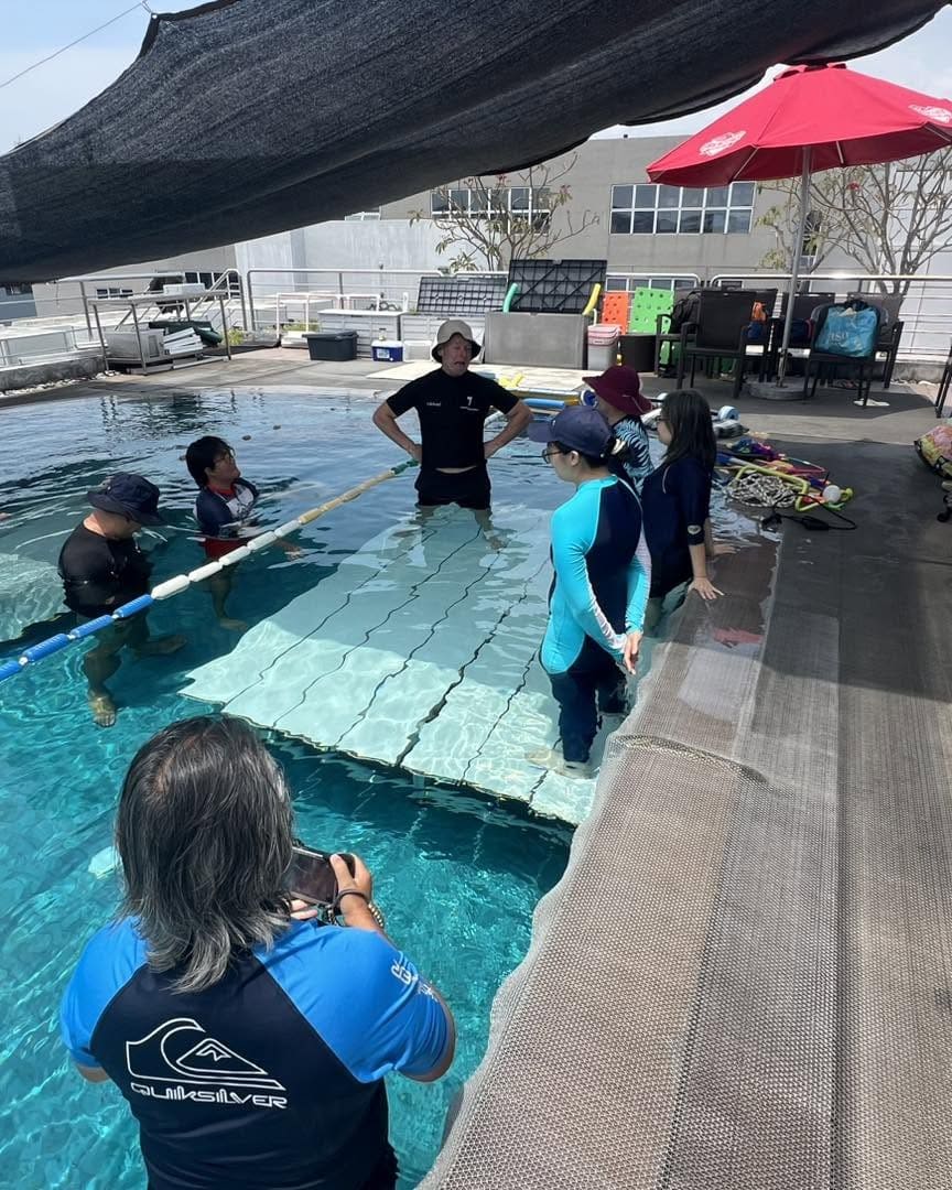 Swim Movement College